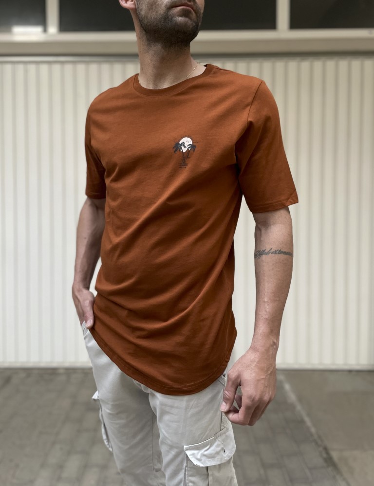 NDC ανδρικό κάμελ T-shirt με τύπωμα 222916K φωτογραφία